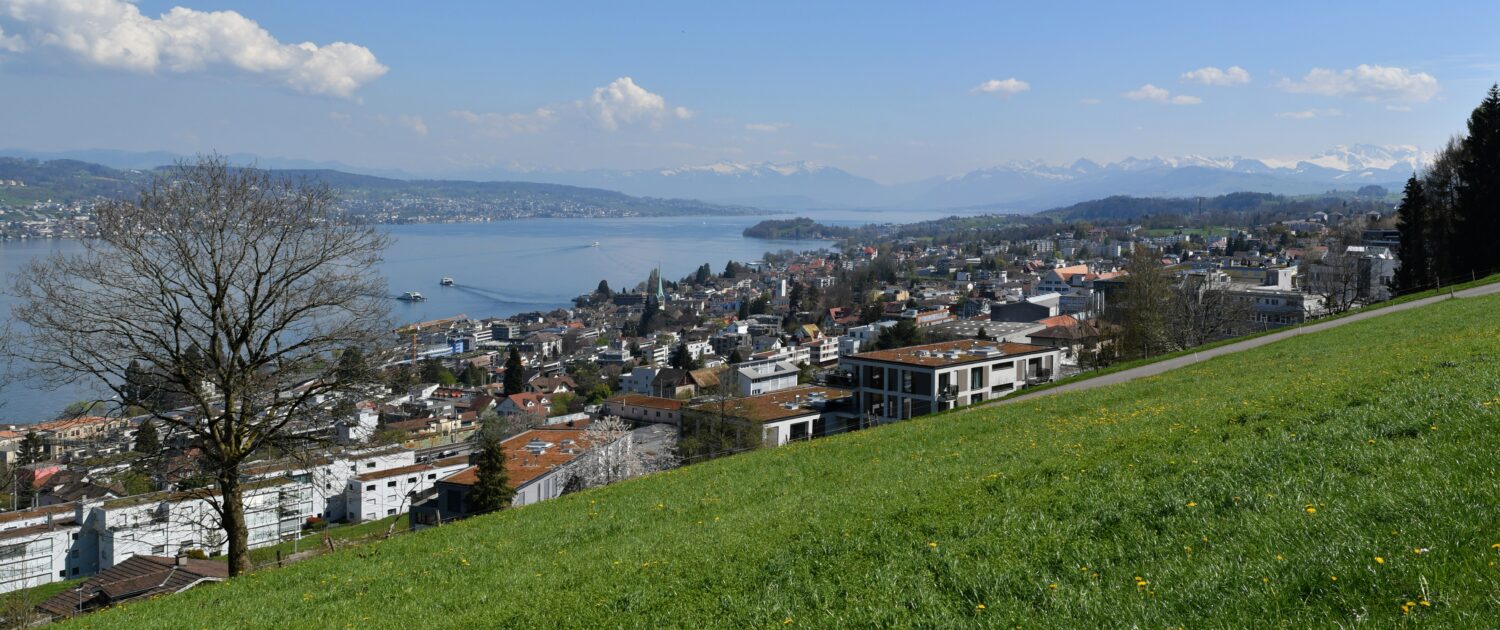 Zürcher Planungsgruppe Zimmerberg